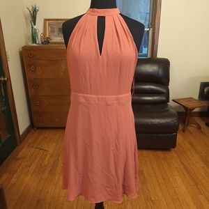 Express Halter Neck Fit and Flare Dusty Rose Knee Length Mini Dress